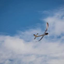 UMX Radian FPV BNF Aircraft Without Headset -Remote Control Toys e flite eflu6780 04